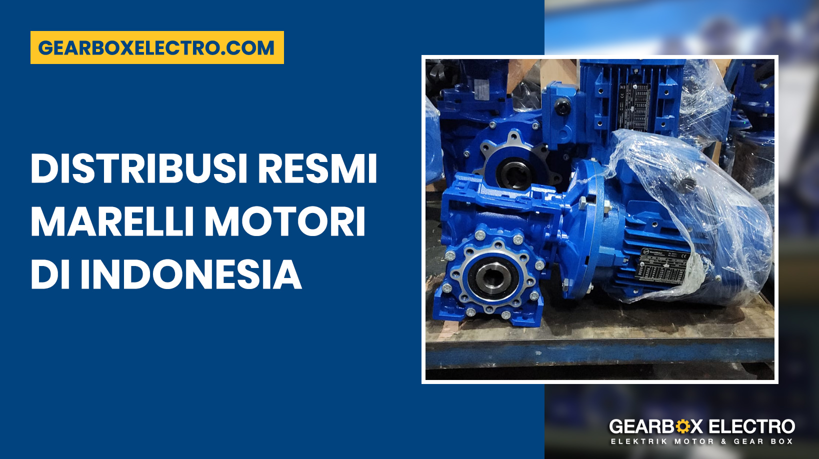 Distributor Resmi Marelli Motori