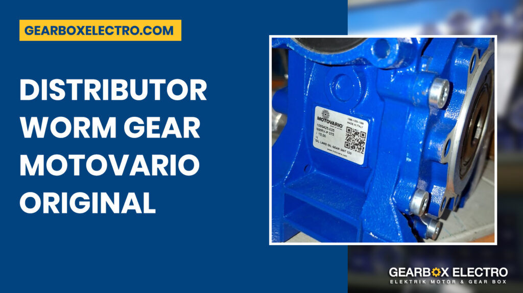 Distributor Worm Gear Motovario Original