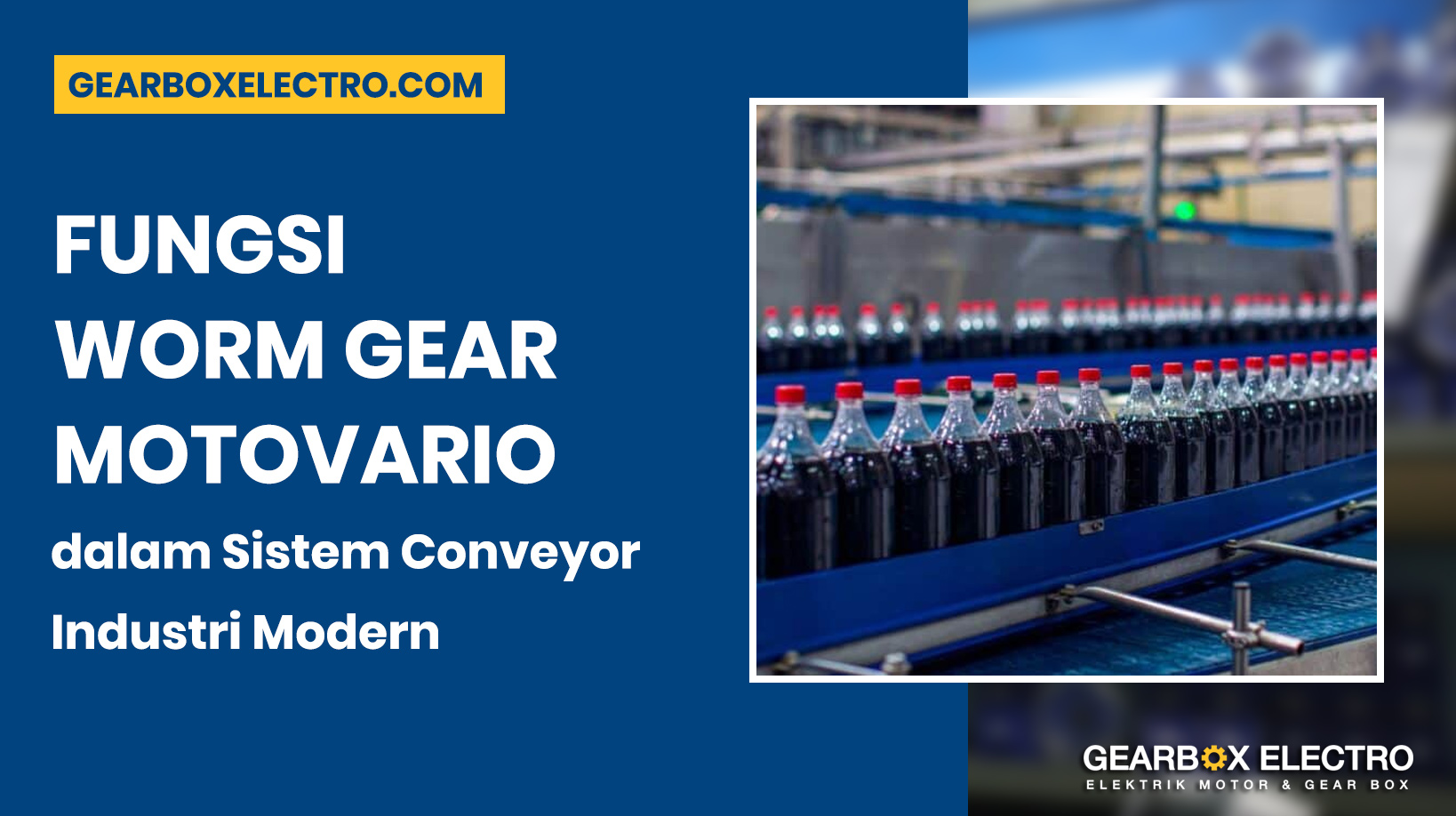 Fungsi Worm Gear Motovario